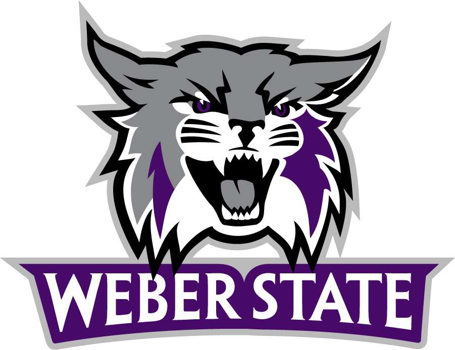 Weber State Wildcats 2012-Pres Primary Logo t shirts iron on transfers
